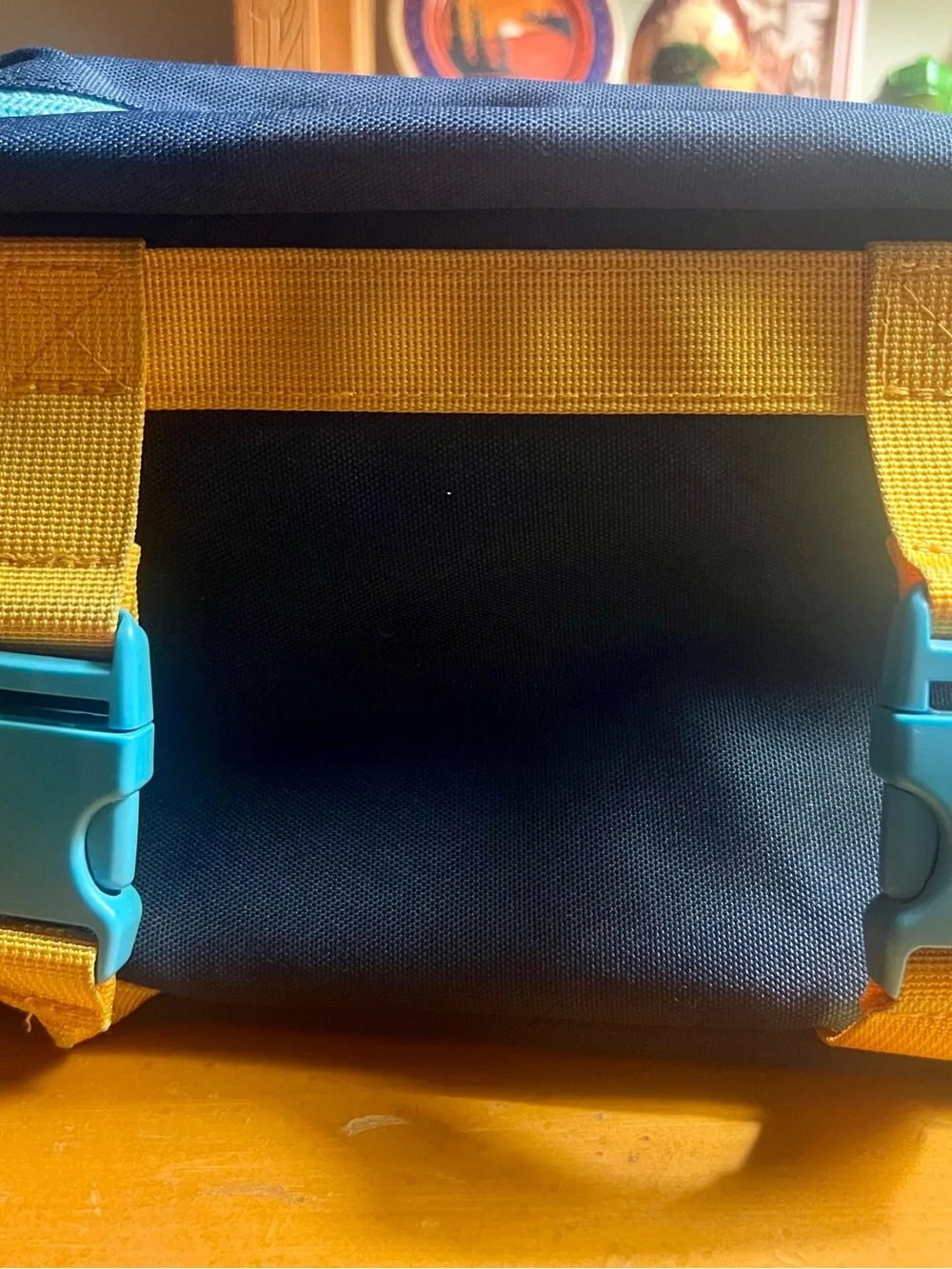 STATE Bags Kane Bike / Scooter Bag - Green / Navy Like New